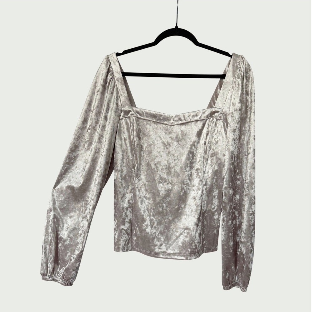 Anthropologie Jessima Crushed Velvet Womens L Blouse Renaissance Romantic Blush